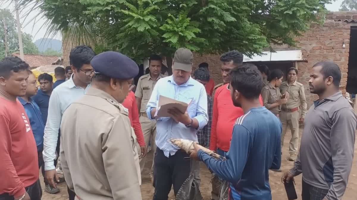 chhatisgarh stf raid in kalahandi forest