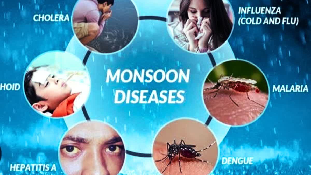 Monsoon Diseases Alert