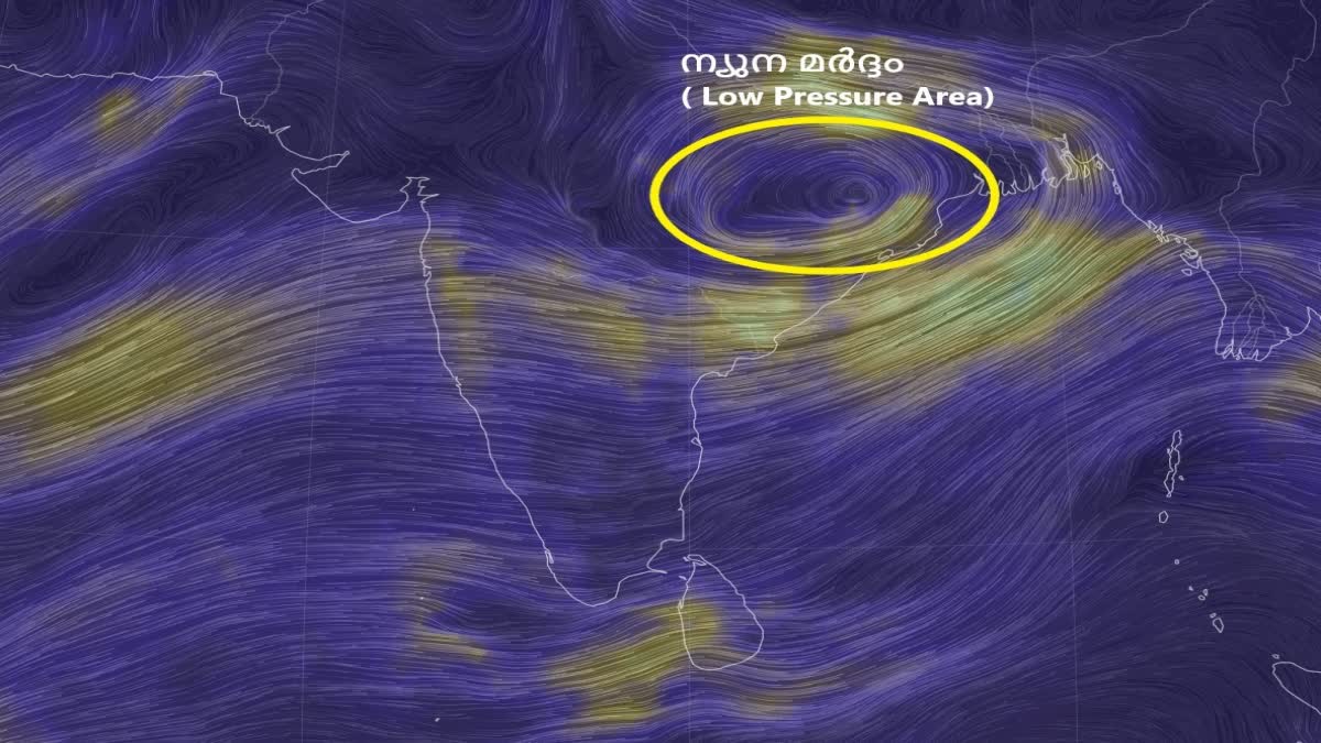 Yellow alert in five districts in the state today  Rain will continue in the state  Yellow alert  rain alert  rain alert in kerala  ഇന്ന് യെല്ലോ അലര്‍ട്ട്  യെല്ലോ അലര്‍ട്ട്  സംസ്ഥാനത്ത് മഴ തുടരും  കേരളത്തില്‍ മഴ തുടരും  കേരളത്തില്‍ മഴ  കേരളത്തില്‍ മഴ മുന്നറിയിപ്പ്  മഴ മുന്നറിയിപ്പ്  മഴ  rain  യെല്ലോ അലര്‍ട്ട്