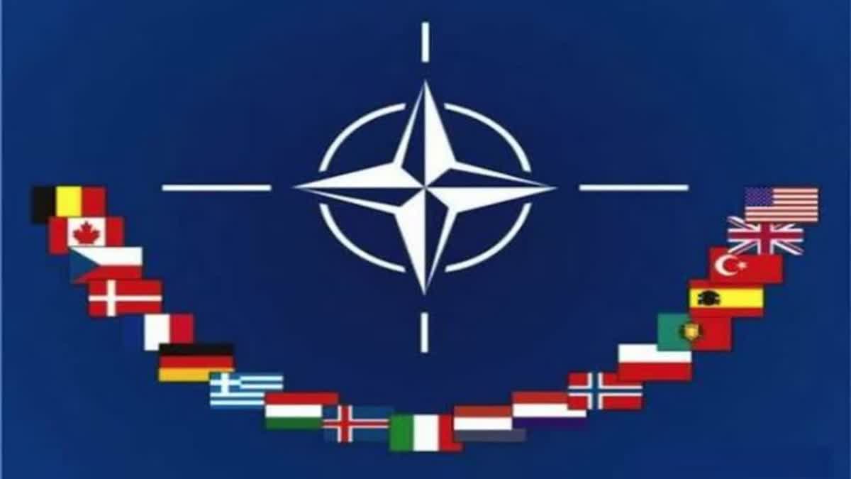 NATO Membership