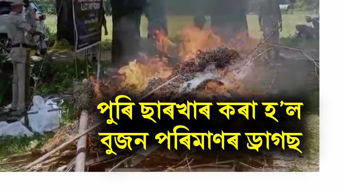 Seized Drugs burnt in Various Place of Assam
