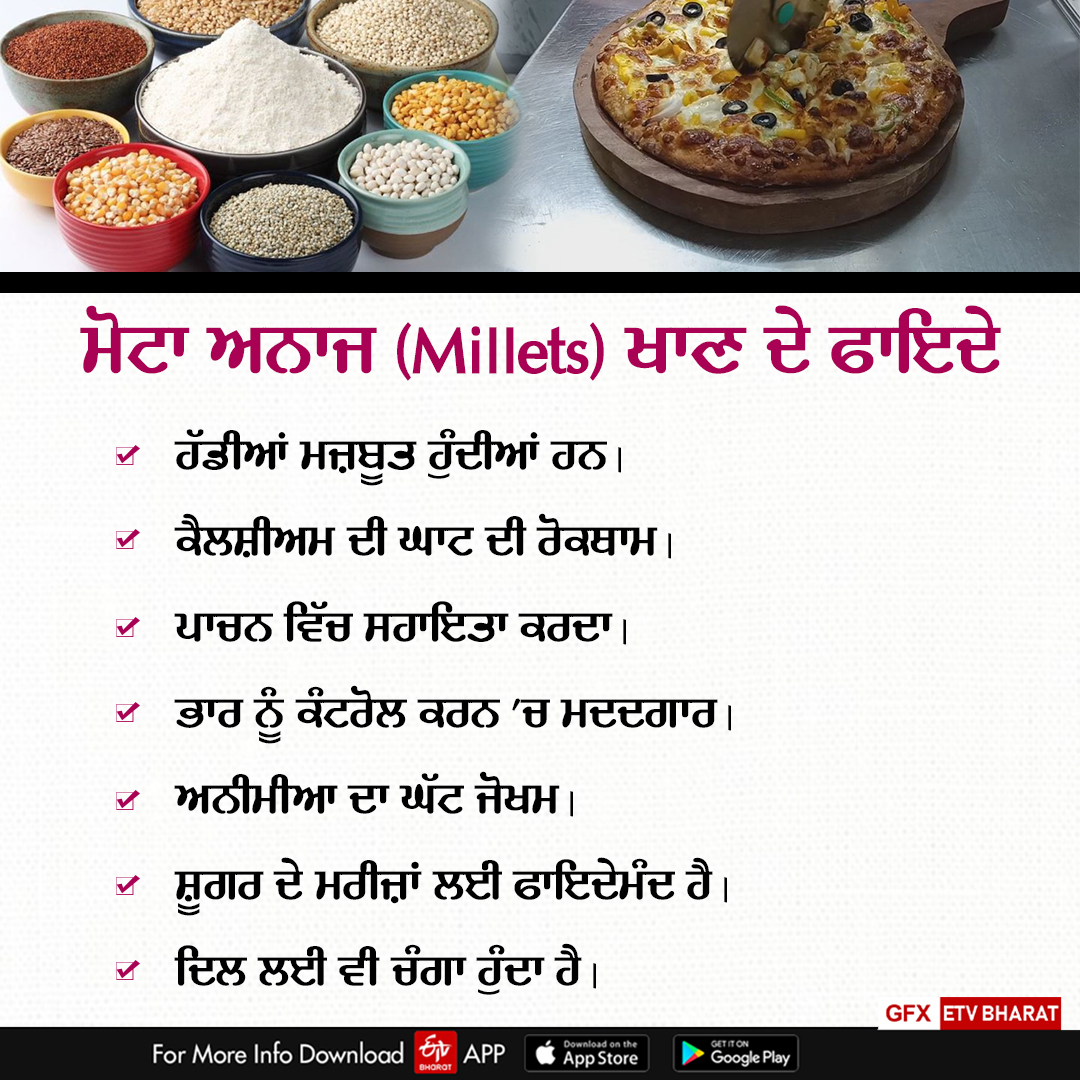 Healthy Millets Pizza, Bathinda