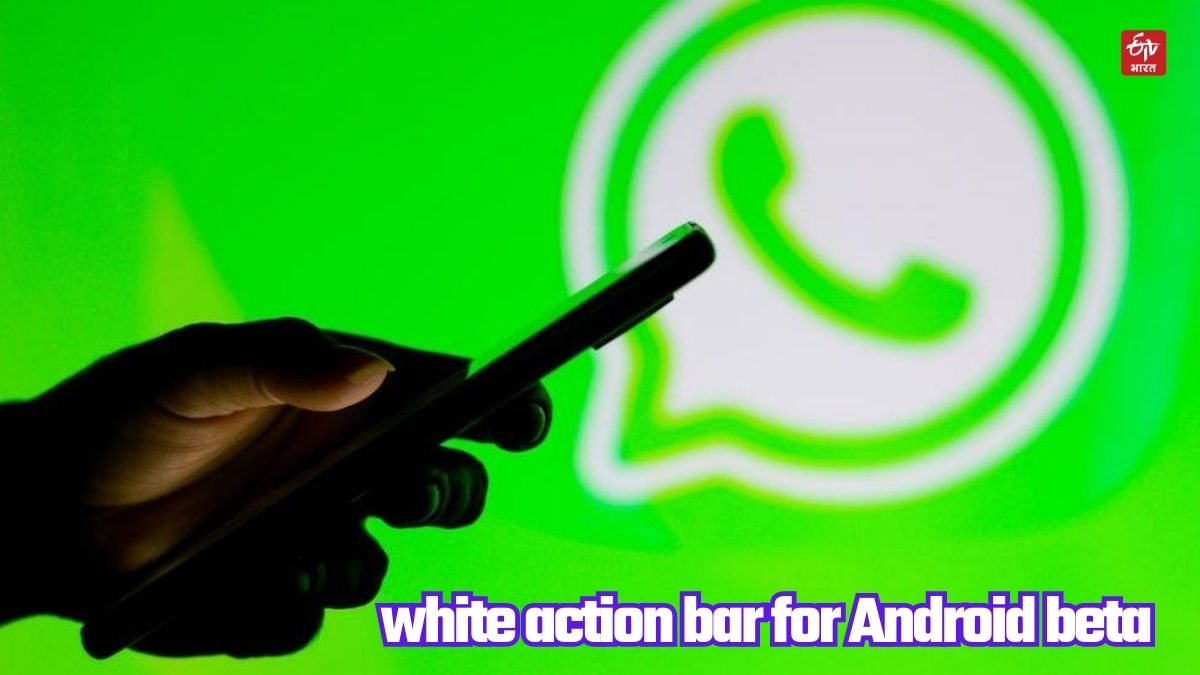 WhatsApp working on white action bar for Android beta