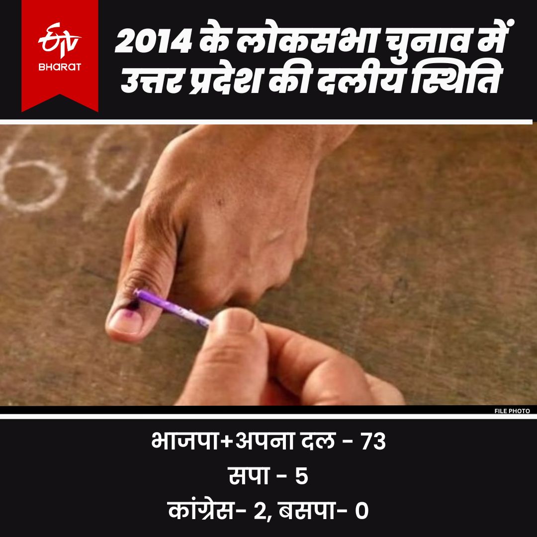 2014 लोकसभा चुनाव (फाइल फोटो)