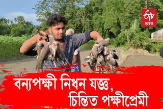 Illegal hunting of Endangered birds at Jania in Barpeta