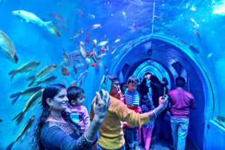 Under water Tunnel Aquarium Exhibition