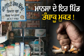 Tobacco Free Villages, Punjab