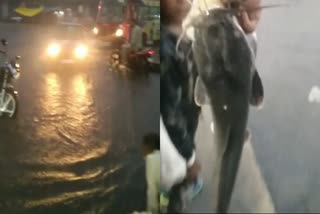 bhopal heavy rain roads submerged