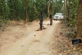 naxal commander Arvind Bhuiyan arrested