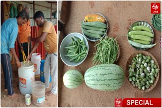 a-special-story-on-youths-are-doing-organic-farming-in-madurai-city