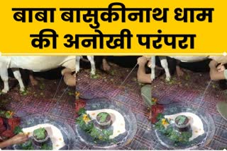 lord-shiva-worshipped-with-cow-milk-in-basukinath-temple-for-rain-in-dumka