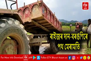 Assam-Arunachal border residents repair road