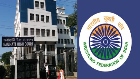 Gauhati HC Stays WFI Elections