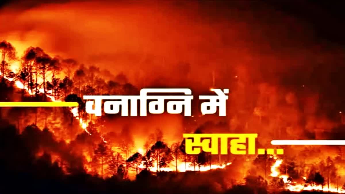 Forest Fire in Himachal Pradesh