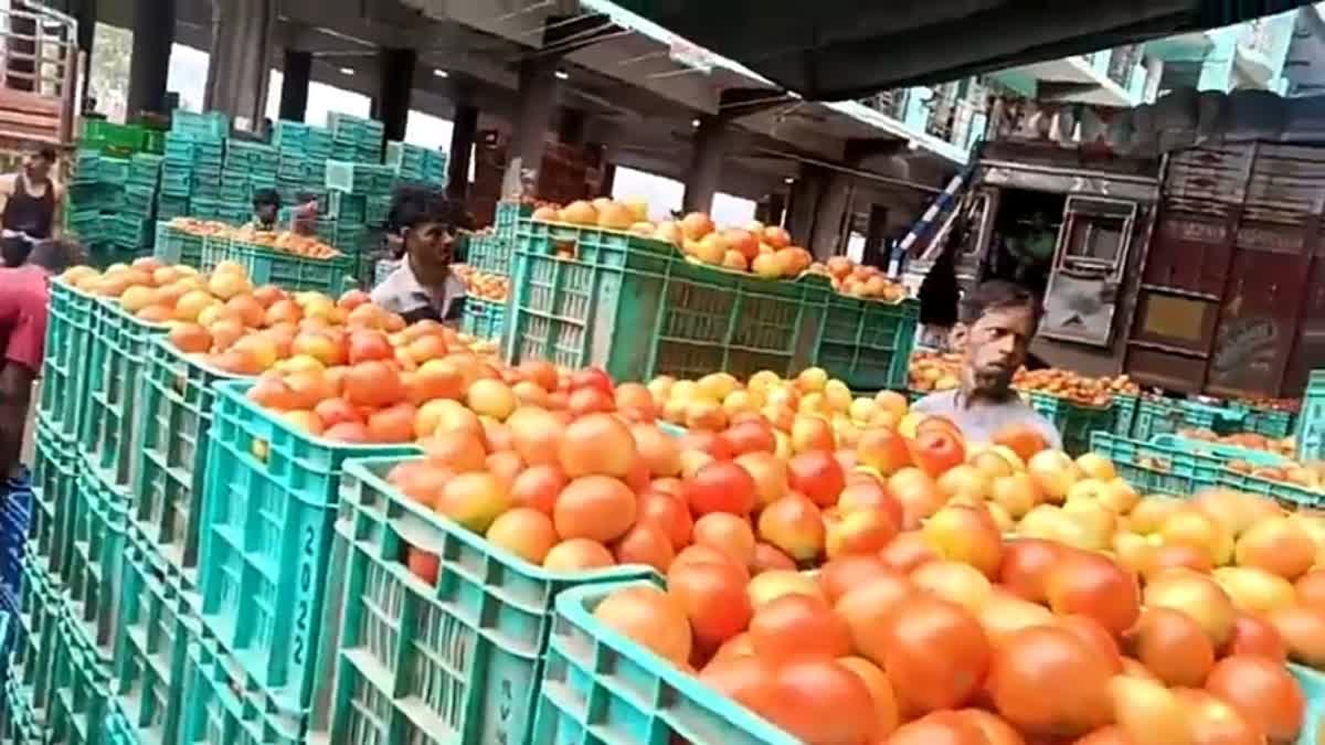 TOMATO PRICES