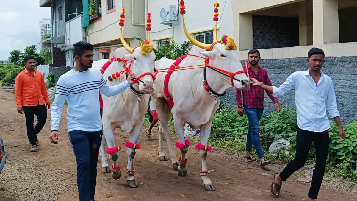 Tukaram Maharaj Palkhi Dehu Alandi