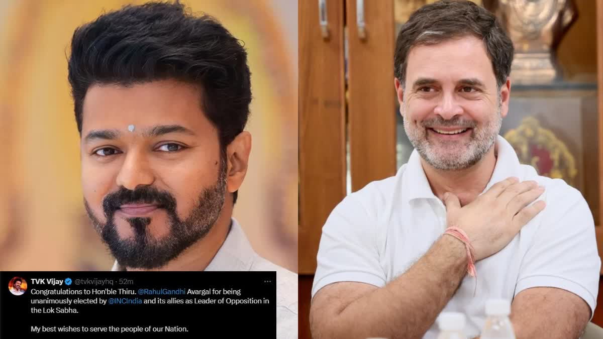 RAHUL GANDHI OPPOSITION LEADER  പ്രതിപക്ഷ നേതാവ് രാഹുൽ ഗാന്ധി  നടൻ വിജയ്  TVK