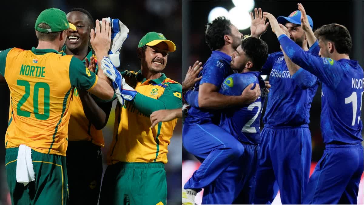 Afg vs Sa Semi FInal 2024