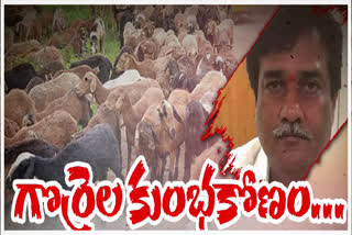 Sheep Distribution Scam Case in telangana