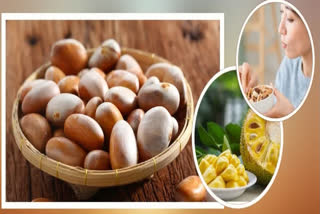 Jackfruit Seeds Health Benefits