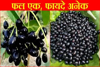 Jamun Benefits