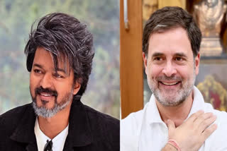 Thalapathy Vijay and  Rahul Gandhi