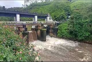 IDUKKI RAIN UPDATES  ഇടുക്കി മഴക്കെടുതി  കാലവർഷം  IDUKKI RAIN ISSUE