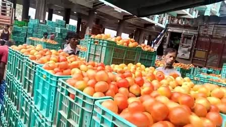 TOMATO PRICES