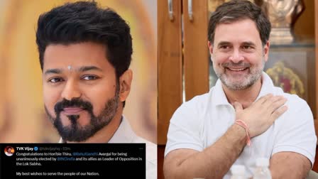 RAHUL GANDHI OPPOSITION LEADER  പ്രതിപക്ഷ നേതാവ് രാഹുൽ ഗാന്ധി  നടൻ വിജയ്  TVK