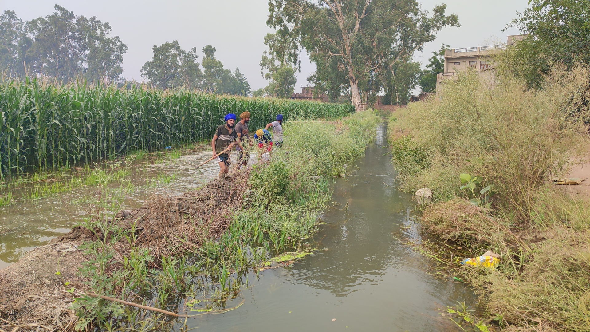 The canal broke in Barnala