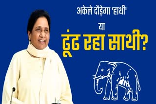 mayawati