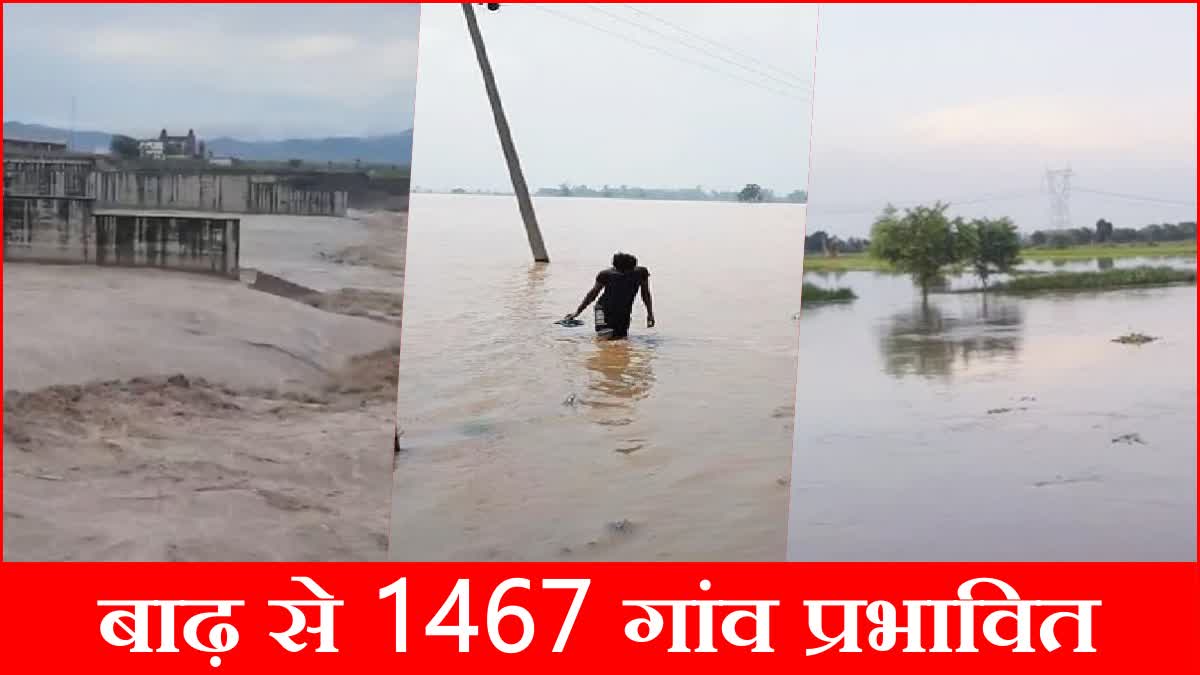 Haryana Flood Update