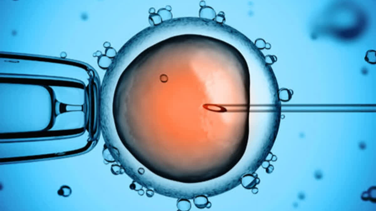 Synthetic human embryos could allow for research beyond 14-day limit, but this raises ethical questions