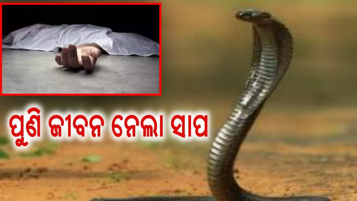 ଶୋଇଥିବା ଅବସ୍ଥାରେ ସାପ ଦଂଶନରେ ଗଲା ଯୁବକର ଜୀବନ