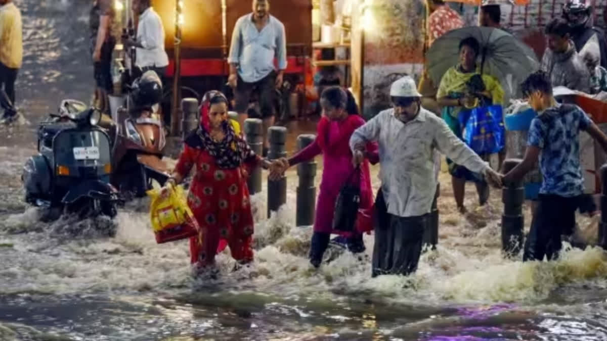 https://www.etvbharat.com/english/videos/other-videos/snake-enters-hyderabad-resident-house-he-takes-it-to-ghmc-office-to-lodge-protest/na20230726185031557557579