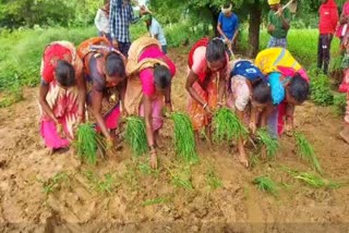 no proper road facility to the village