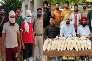 Punjab Drugs Seized, Ferozepur
