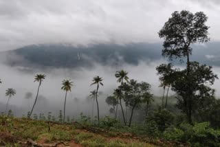 Kerala rain  Kerala rain updates  Kerala rain latest updates  കേരളത്തിൽ കനത്ത മഴ  kerala weather today  Kerala rain updates today  കനത്ത മഴ  യെല്ലോ അലര്‍ട്ട്  Yellow alert in eight districts