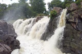 Hogenakkal, dharmapuri