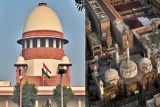 The Supreme Court today revived a special leave petition of the Gyanvapi panel on the ASI survey in the mosque complex. In its latest plea, the mosque committee said that the SC had inadvertently disposed of its main petition instead of interim plea on July 24 while staying the ASI survey.