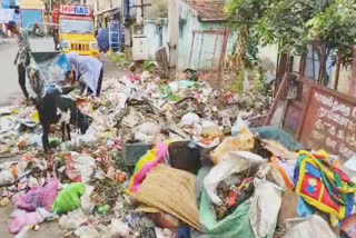 mettupalayam councilor cleaning the garbage video viral