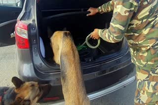 इंडो नेपाल सीमा की सुरक्षा बढ़ी