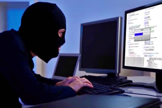 Cyber criminals cheated young woman