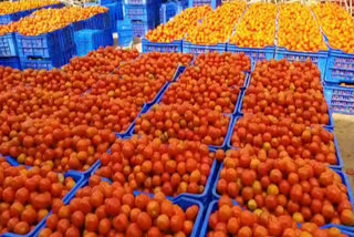 Tomato Price