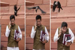 Raghav Chadha