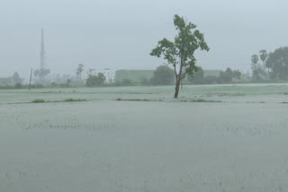 Farmers Worried