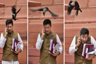 A tweet by BJP mocking Aam Aadmi Party leader Raghav Chadha being attacked by a crow outside Parliament drew an equally sharp response from the AAP MP.