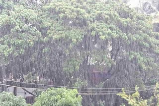 Heavy rain in Dakshina Kannada District