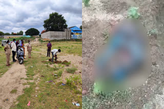 unfortunate-decision-taken-by-the-pregnant-woman-a-7-month-old-baby-was-dug-up