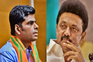 Tamil Nadu BJP Chief K Annamalai (L) and Tamil Nadu Chief Minister MK Stalin. Credit: PTI Photos